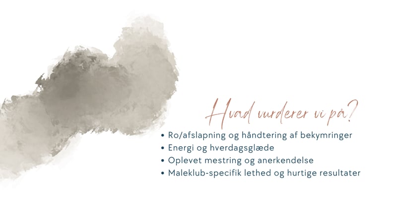 Ro/afslapning og håndtering af bekymringer Energi og hverdagsglæde Oplevet mestring og anerkendelse Maleklub-specifik lethed og hurtige resultater