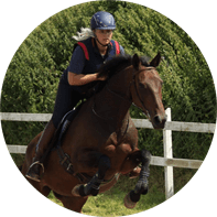 Dagmars blog om hestetræning